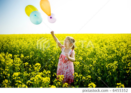 Balloons on a yellow field Balloons on a yellow field 6455352