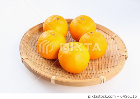 椪柑 椪柑 6456116