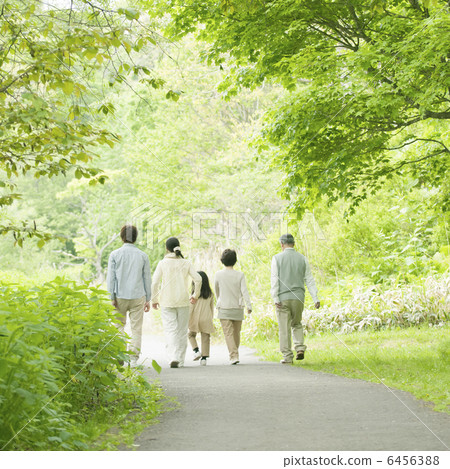 3代家庭的背面走在清新的綠色 3代家庭的背面走在清新的綠色 6456388