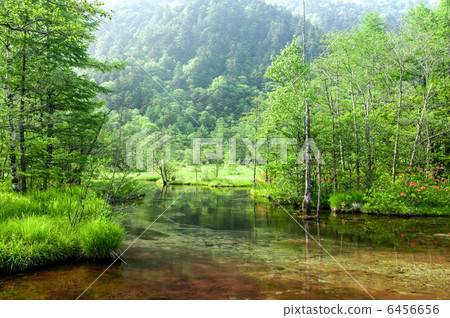 Early summer of Kamikochi Taiyoke pond Early summer of Kamikochi Taiyoke pond 6456656