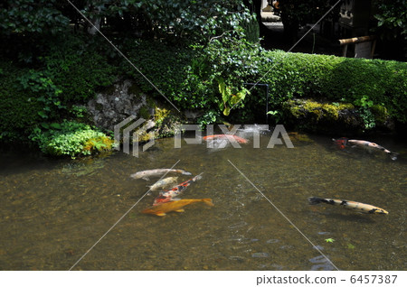 Kyoto Ohara Jokoin 6457387