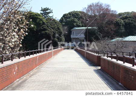 Hill park where the harbor can be seen · Misty bridge 6457841