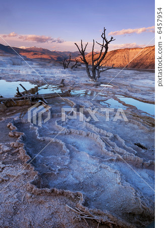 Mammoth Hot Springs 6457954