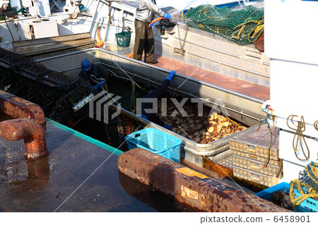 Scallop fishery Scallop fishery 6458901