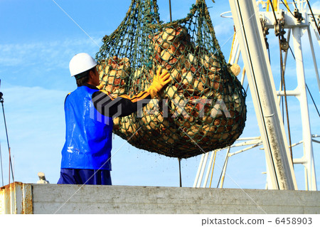 Scallop fishery Scallop fishery 6458903
