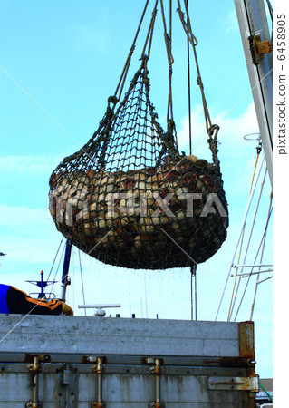 Scallop fishery Scallop fishery 6458905