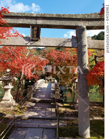 京都Eikan-do（鳥居） 6458961