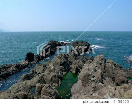 在老鼠的寬恕 6459023