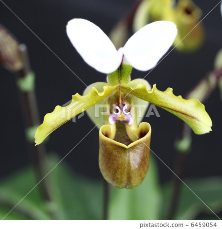 跑步 跑步 6459054