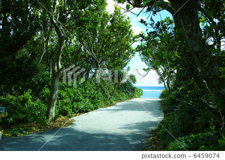 Kudakajima Pizza Beach 6459074