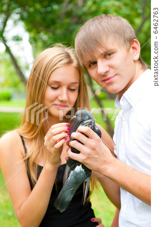 Portrait of young handsome couple holding a dove in park Portrait of young handsome couple holding a dove in park 6462763