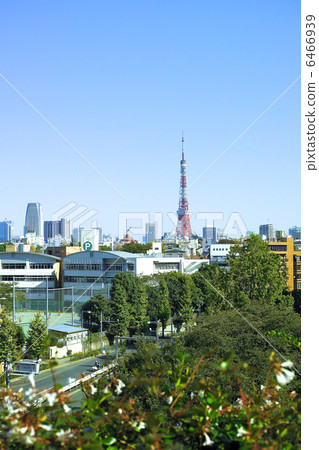 從六本木新城看到的東京鐵塔 6466939
