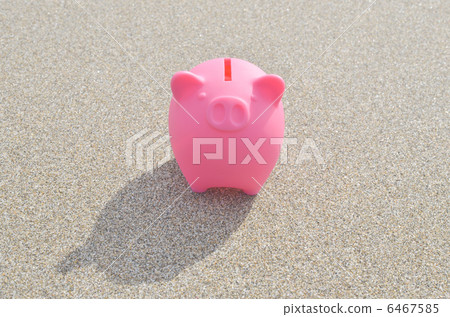 Pig's Piggy Bank Coast Pig's Piggy Bank Coast 6467585