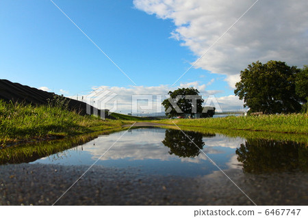 Puddle Puddle 6467747