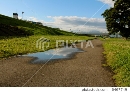 Puddle Puddle 6467749