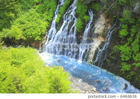 白鬍子瀑布 6468636