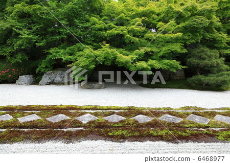 Kyoto · Nanzenji in fresh green 6468977