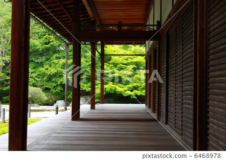 Kyoto · Nanzenji in fresh green Kyoto · Nanzenji in fresh green 6468978