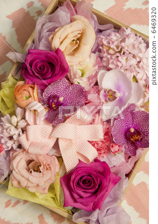 present box present box 6469320