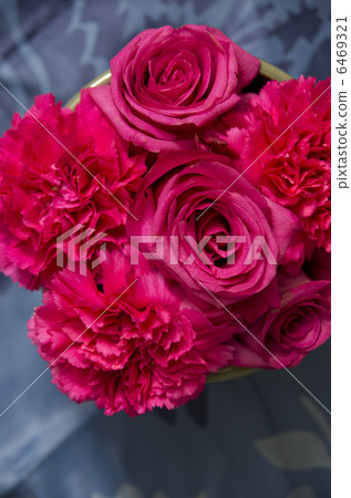 粉色和藍色 6469321