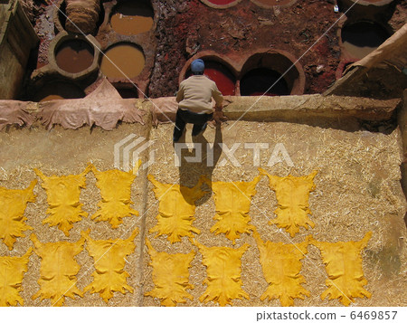 皮革曬黑在摩洛哥 6469857