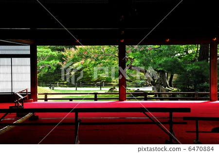 京都高台寺 京都高台寺 6470884