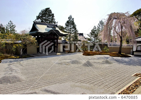 京都高台寺 京都高台寺 6470885