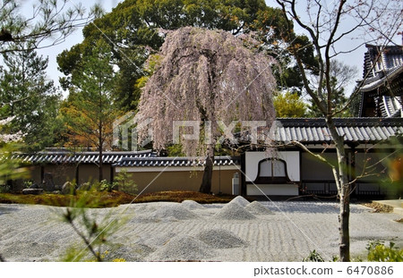 京都高台寺 京都高台寺 6470886