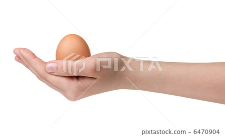 female teen hand holding egg female teen hand holding egg 6470904