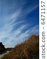 autumn sky  6471157