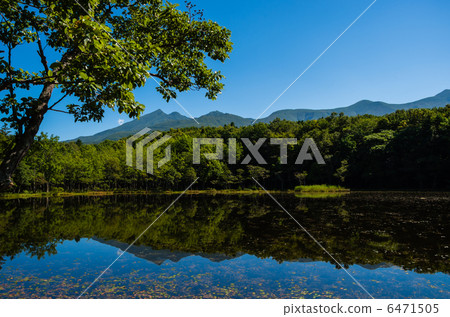 知床郡湖Goko 6471505