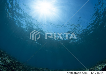 從海底看到的太陽 從海底看到的太陽 6471644