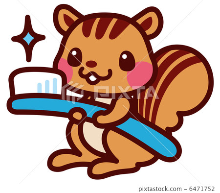 松鼠用牙刷 松鼠用牙刷 6471752