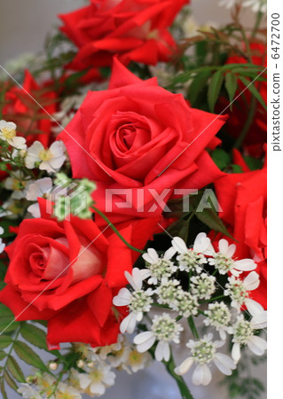 一束玫瑰 6472700