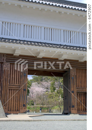 Odawara Castle in Spring 6472907