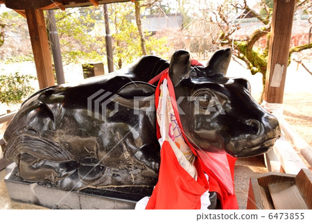 Kitano Tenman-gu shrine Kitano Tenman-gu shrine 6473855