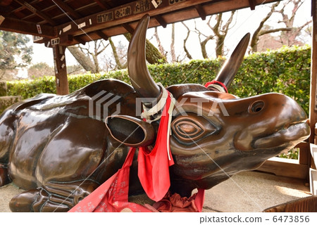 Kitano Tenman-gu shrine 6473856