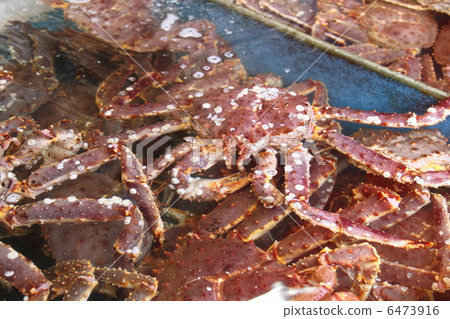 Karabashi crab crab Karabashi crab crab 6473916