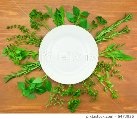 Fresh Herbs Collection as Border Around White Plate 6473926