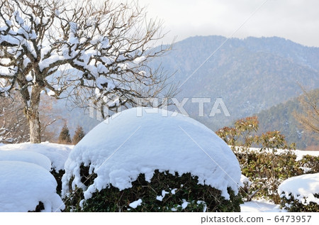 View from Ohara Ryo View from Ohara Ryo 6473957