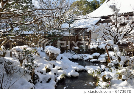 Hohsengumi, snow crane garden 6473978