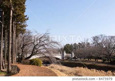 Winter's Minami-Asakawa Bridge Tama-monori entrance 6473979