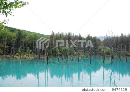 Blue pond 6474329