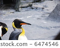 Emperor Penguin 6474546