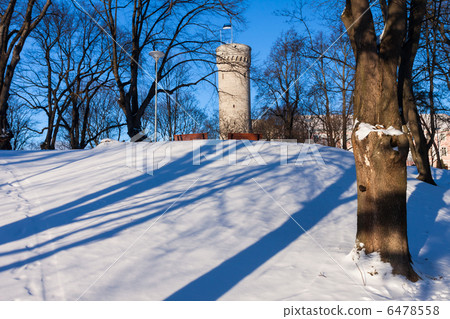 Toompea castle part in Tallinn oldtown in Estonia 6478558