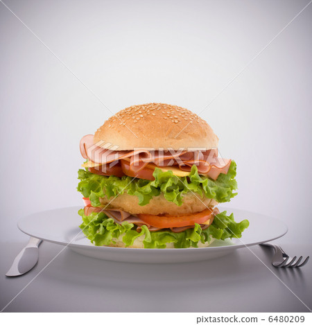 Fast food big sandwich  on plate 6480209
