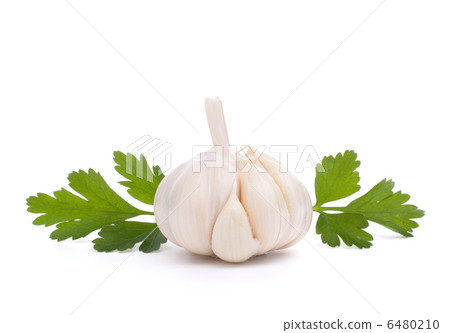 garlic bulb 6480210