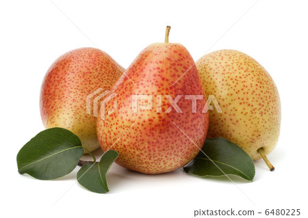 Pear fruits 6480225