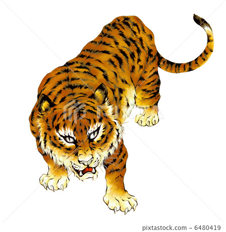 日式畫虎 6480419