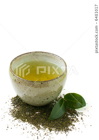 綠茶 綠茶 6481017